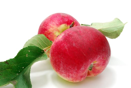 Two Red Apple with Green Leaves Isolated on White