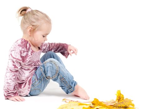 Shot of toddler playing with muple leaves in studio