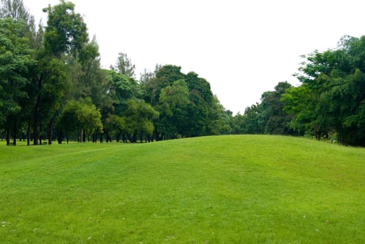 Green grass field in garden, Thailand