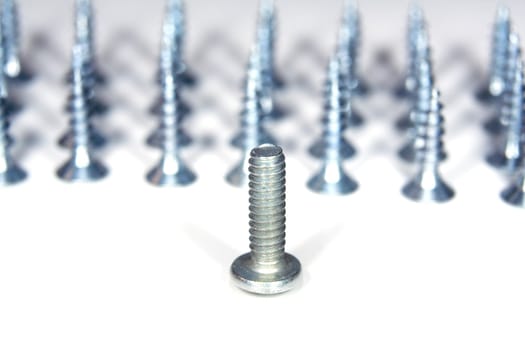 Iron screw on white background. The leadership concept