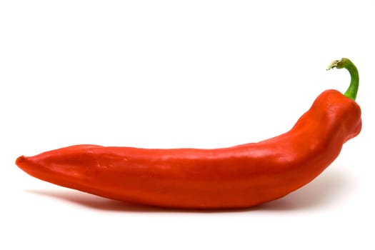 Red hot pepper on white background