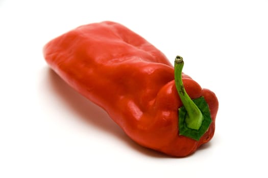 Red hot pepper on white background