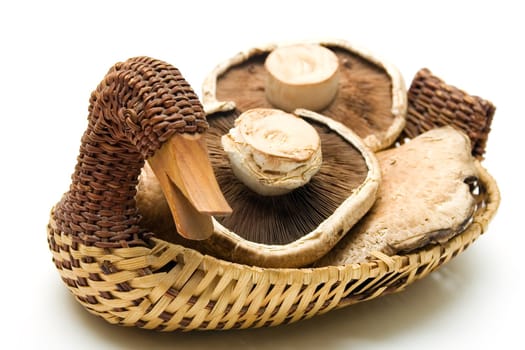 Edible mushrooms Portabello on white background