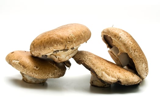 Edible mushrooms Portabello on white background