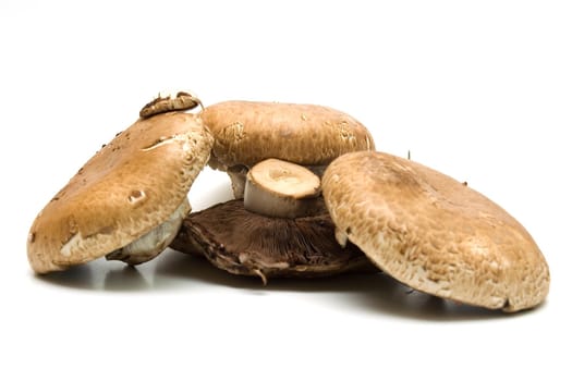 Edible mushrooms Portabello on white background