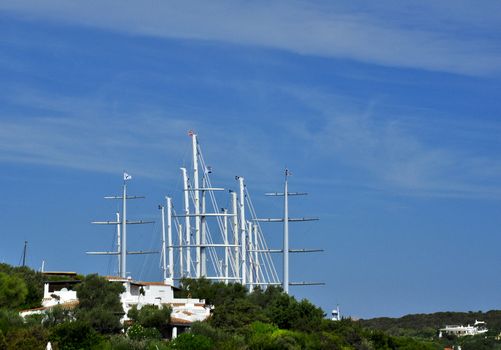 Trees sailing in Porto Cervo in Sardinia