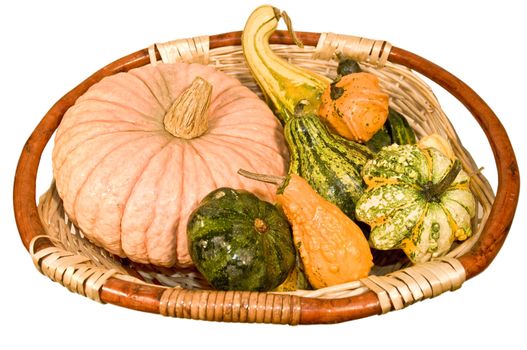 Basket with pumpkins of different types and sizes