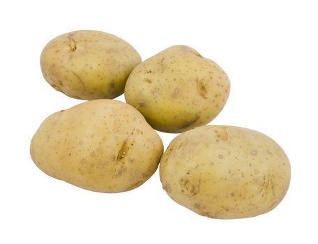 four young potatoes isolated on perfectly white background