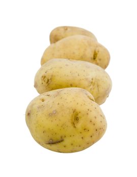 four young potatoes isolated on perfectly white background