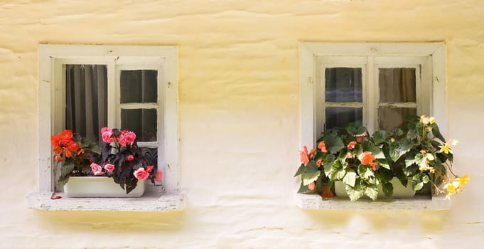 two rural windows of house in Miedzygorze (Poland)