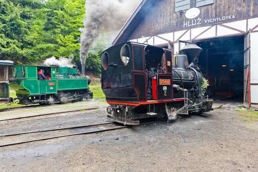 steam locomotives, Museum of Kysuce village, Vychylovka, Slovakia