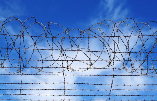 excellent image of barbed wire rolls in front of blue sky 