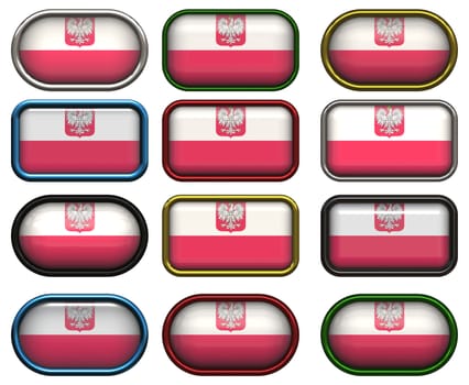 twelve Great buttons of the Flag of Poland