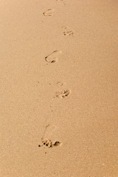 footprints on the beach coming towards the camera