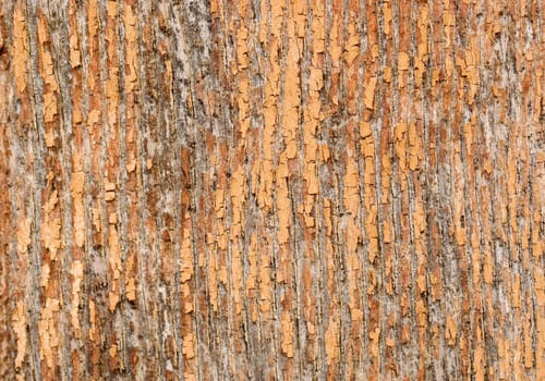 great background texture of old grungy wood