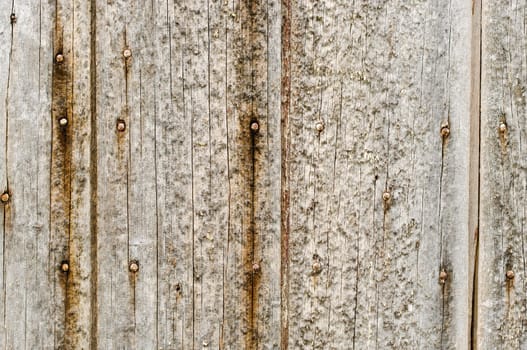 great background texture of old grungy wood