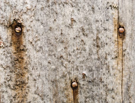 great background texture of old grungy wood