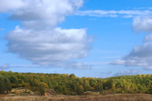 Landscape with a sand footpath through a field leaving in wood