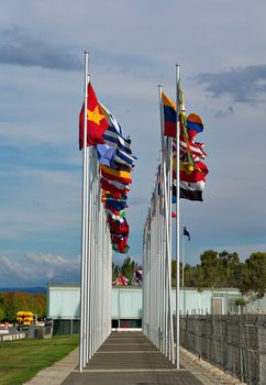 flags of the world flapping in the wind