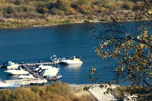 Autumn branch of a tree against the river and boat station