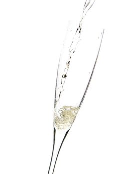 close up of an isolated glass cup of champagne