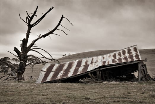 an old farm bulding lays decaying in the field