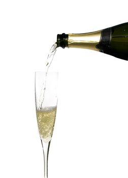 filling a glass cup with champagne wine isolated on withe background