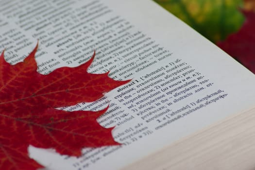 Autumn sheet on the opened book removed close up