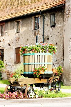 wine-press, Chatenois, Alsace, France