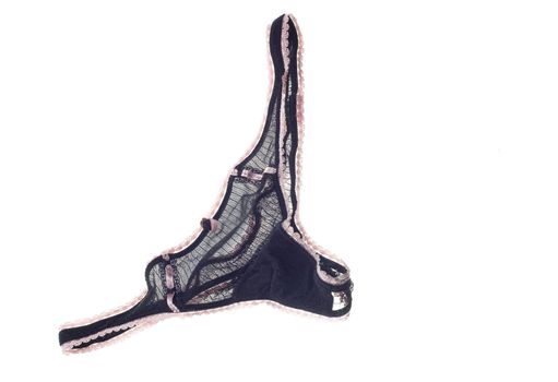 elegant female lingerie underwear isolated on withe background