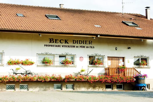 winery, Dieffenthal, Alsace, France