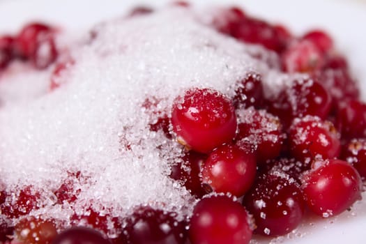 Cowberry sprinkled with sugar removed close up