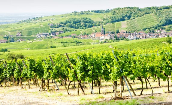 village in Alsace, France