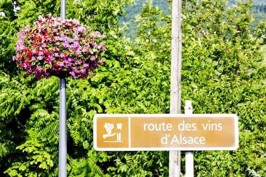 wine road, Alsace, France