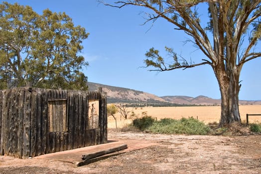 wooden ruins and tree