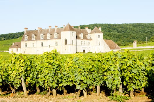 Clos Blanc De Vougeot Castle, Burgundy, France