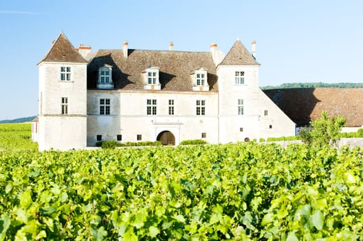 Clos Blanc De Vougeot Castle, Burgundy, France