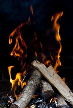 Flames burning from a log wood
