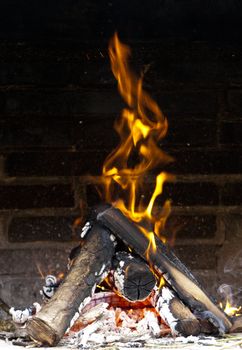 Flames burning from a log wood