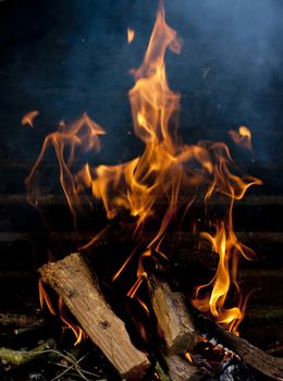 Flames burning from a log wood