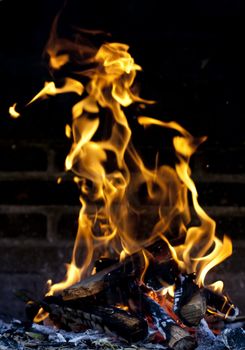 Flames burning from a log wood