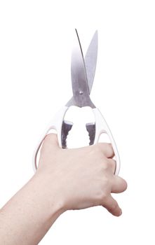 hand with scissors isolated over a withe background