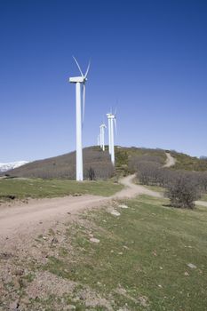 wind turbines renewable power over a blue sky 