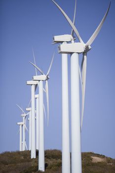wind turbines renewable power over a blue sky 