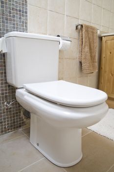 image of the inside of a bathroom with wc and toilette
