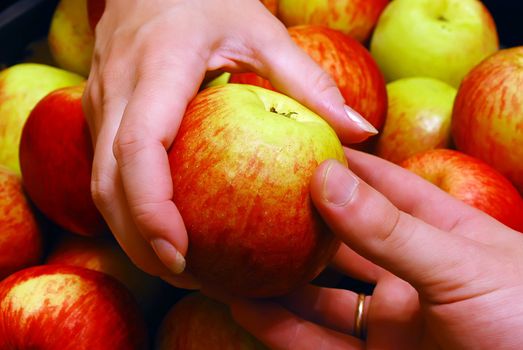 Man's Hand Gives an Apple To Woman's over Heap of Apples Background