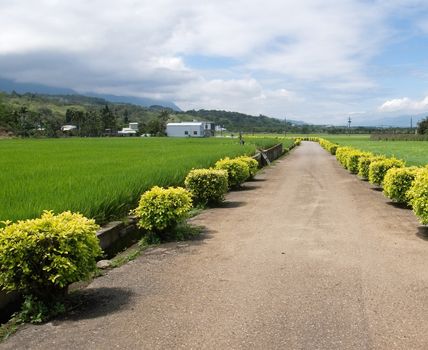 One road in the countryside to somewhere.