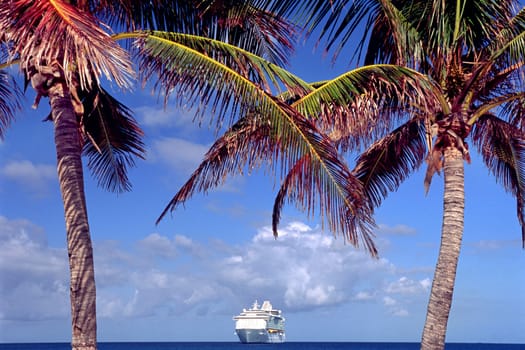 cruise ship between two pulms  in Caribbean sea