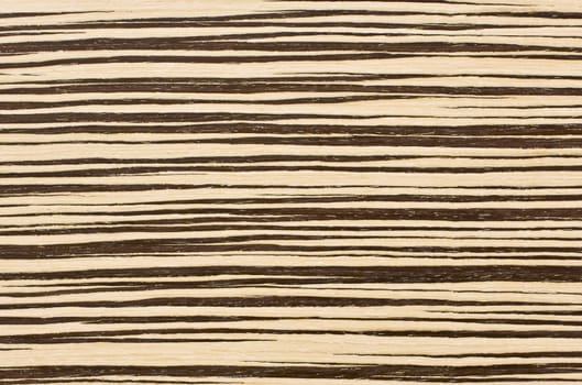 Close-up zebra wood texture for background
