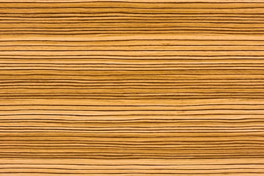 Close-up wood texture for background